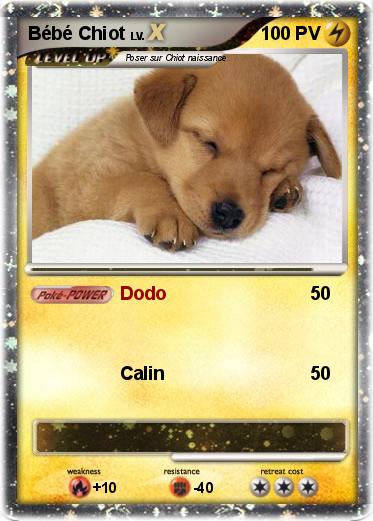 Pokemon Bébé Chiot