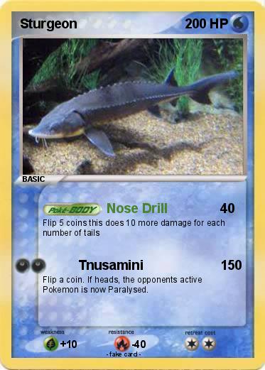 Pokemon Sturgeon
