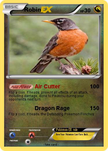 Pokemon Robin