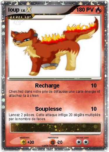 Pokemon loup