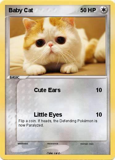 Pokemon Baby Cat