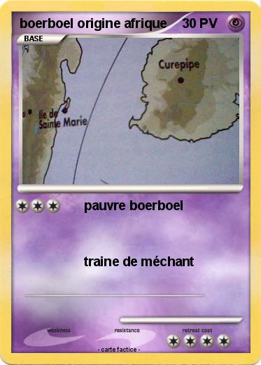 Pokemon boerboel origine afrique