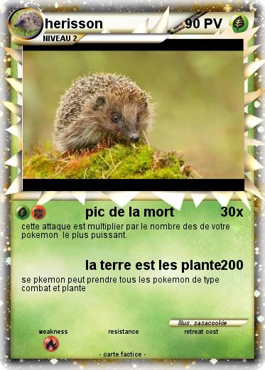 Pokemon herisson