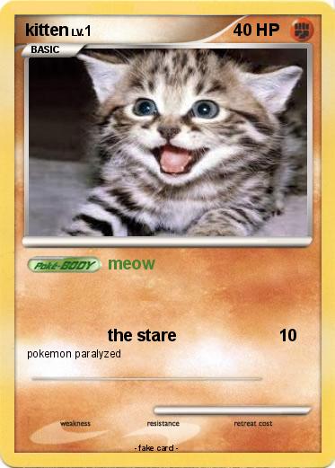 Pokemon kitten