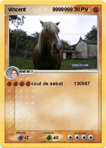 Pokemon vincent                  9999999