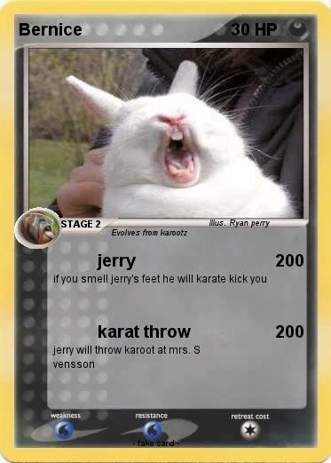 Pokemon Bernice