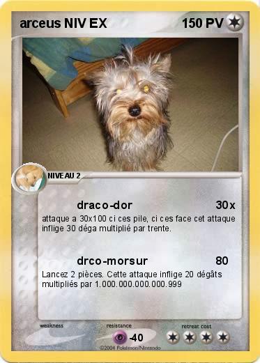 Pokemon arceus NIV EX