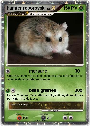 Pokemon hamter roborovski