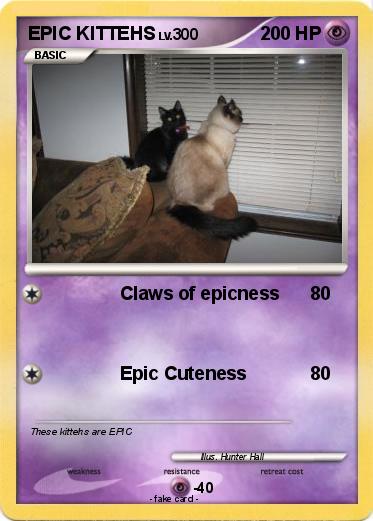 Pokemon EPIC KITTEHS