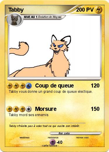 Pokemon Tabby