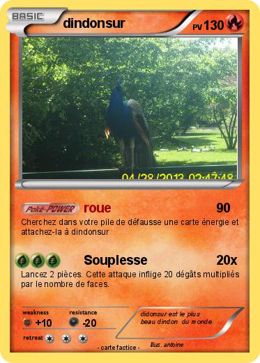 Pokemon dindonsur