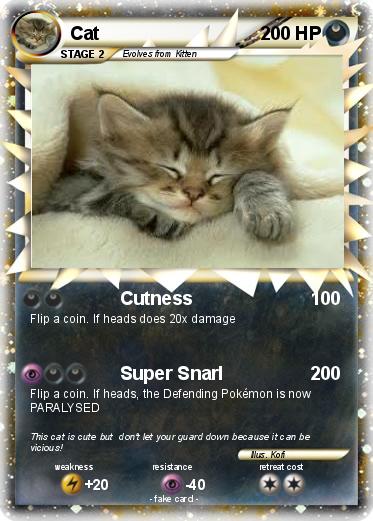 Pokemon Cat