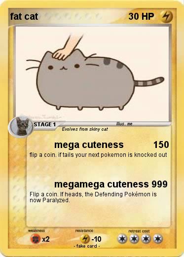 Pokemon fat cat