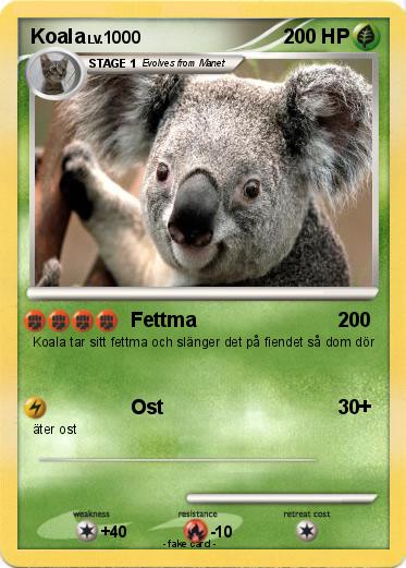Pokemon Koala