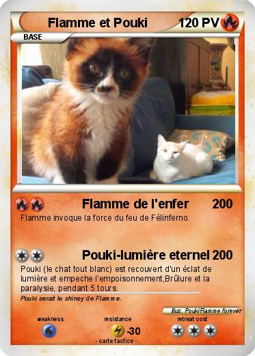 Pokemon Flamme et Pouki