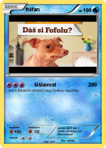 Pokemon ftěfan
