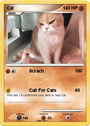 Pokemon Cat