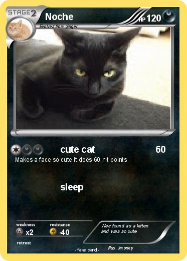 Pokemon Noche