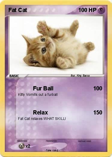 Pokemon Fat Cat