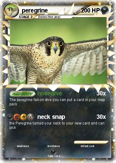 Pokemon peregrine