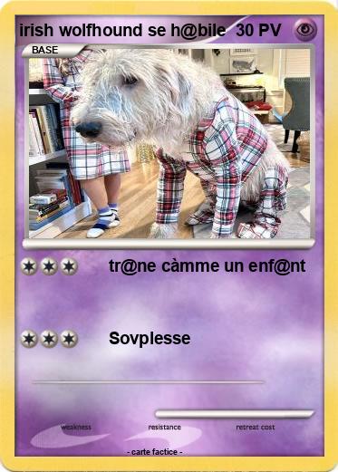 Pokemon irish wolfhound se h@bile