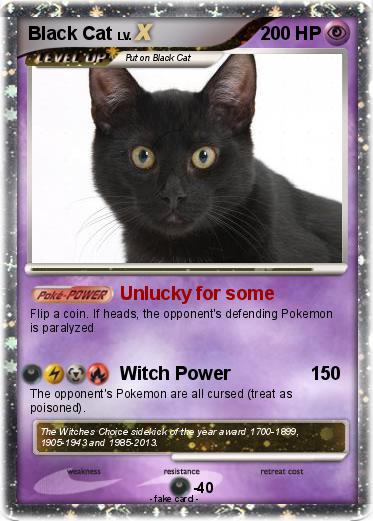 Pokemon Black Cat
