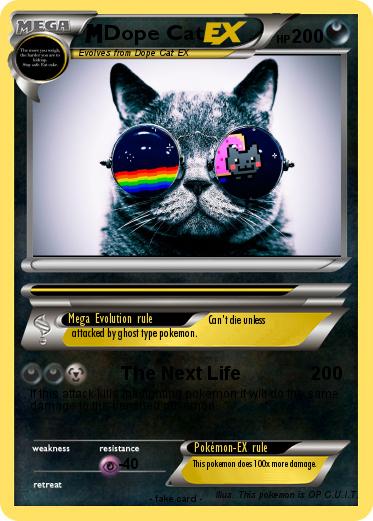 Pokemon Dope Cat