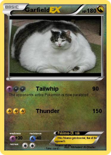 Pokemon Garfield