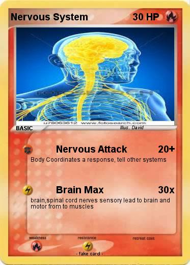 Pokemon Nervous System
