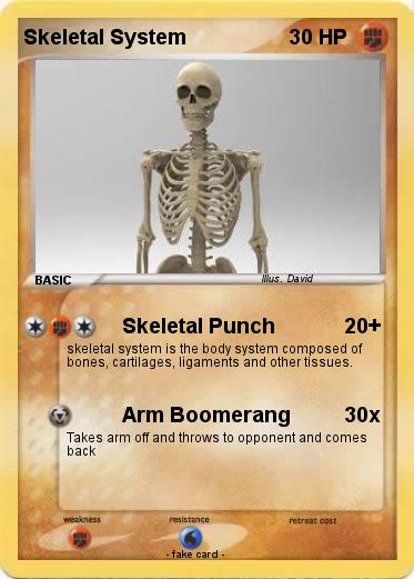 Pokemon Skeletal System