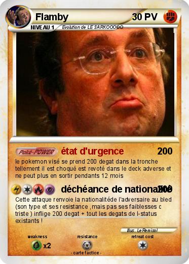 Pokemon Flamby