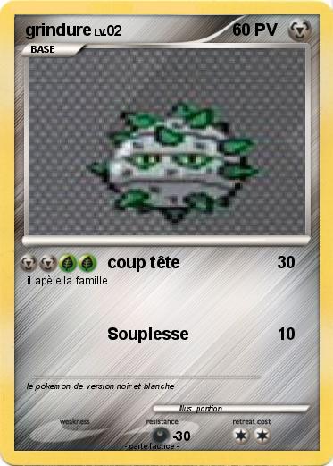 Pokemon grindure
