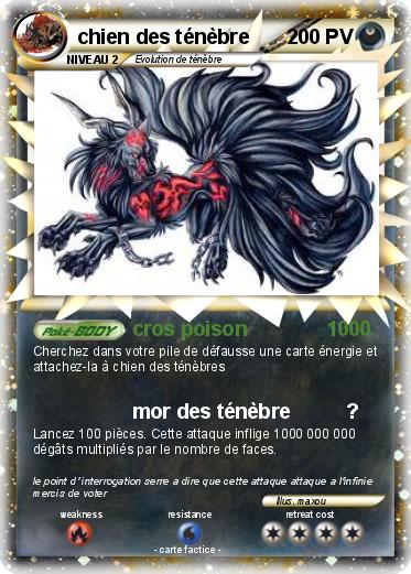Pokemon chien des ténèbre
