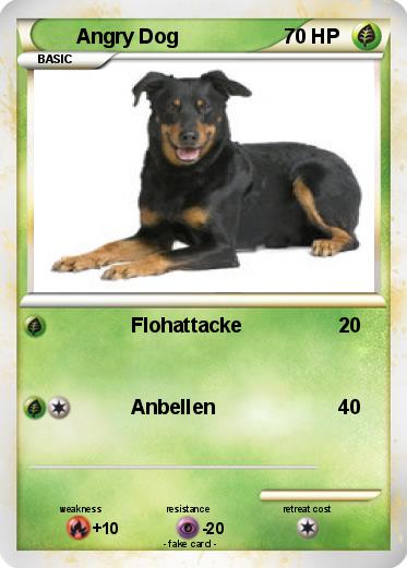 Pokemon Angry Dog