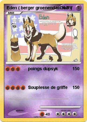 Pokemon Eden ( berger groenendael mix )