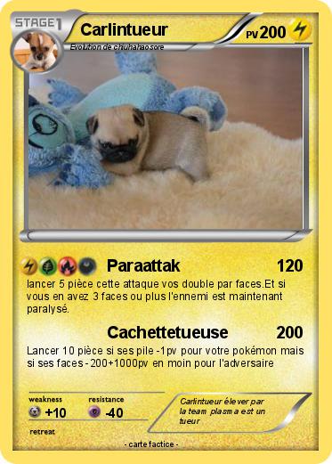 Pokemon Carlintueur