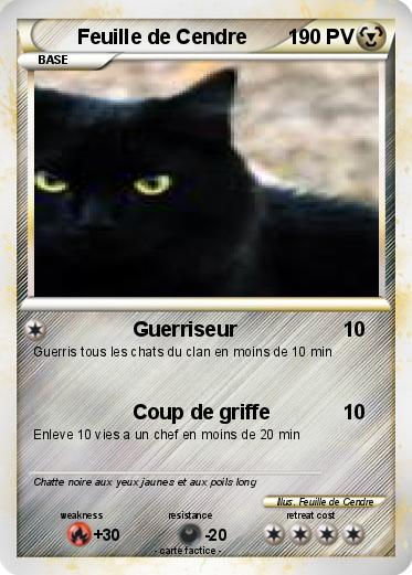 Pokemon Feuille de Cendre