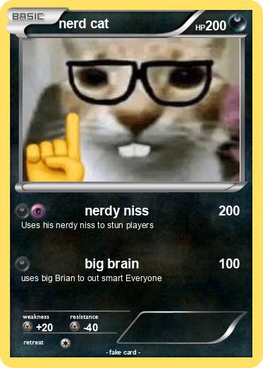 Pokemon nerd cat
