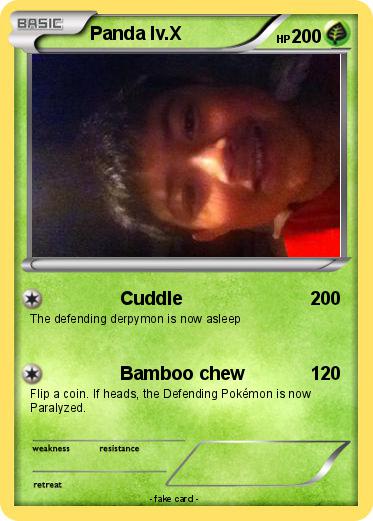 Pokemon Panda lv.X