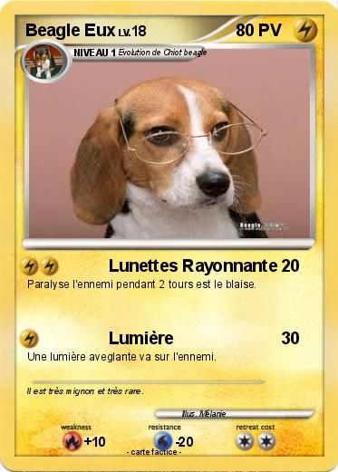 Pokemon Beagle Eux