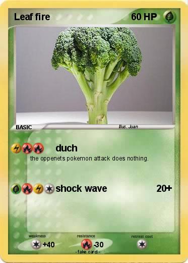 Pokemon Leaf fire