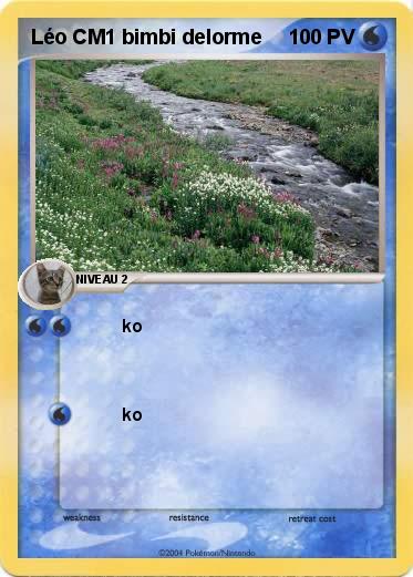 Pokemon Léo CM1 bimbi delorme 