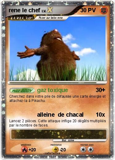 Pokemon rene le chef