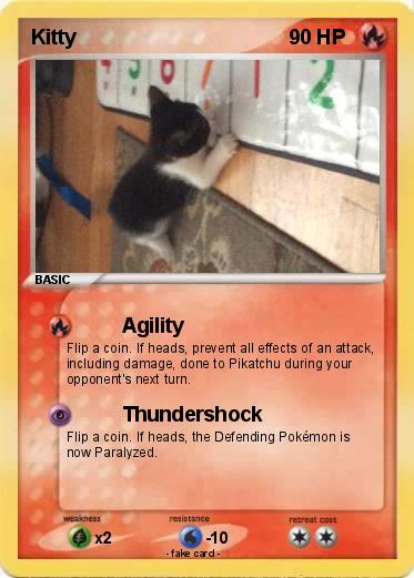 Pokemon Kitty