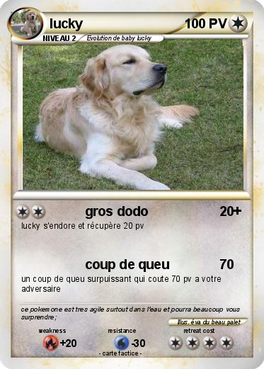 Pokemon lucky