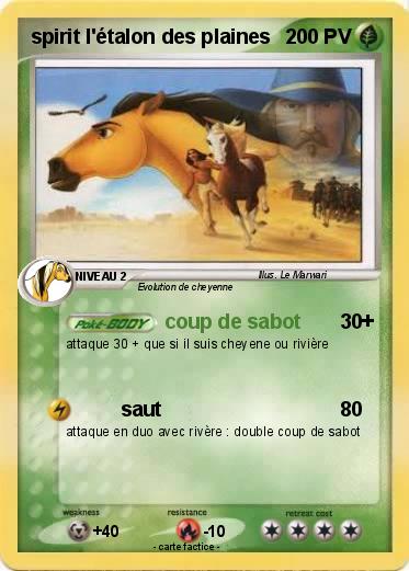 Pokemon spirit l'étalon des plaines