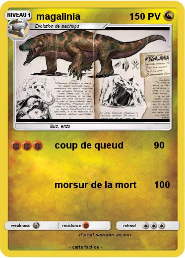 Pokemon magalinia