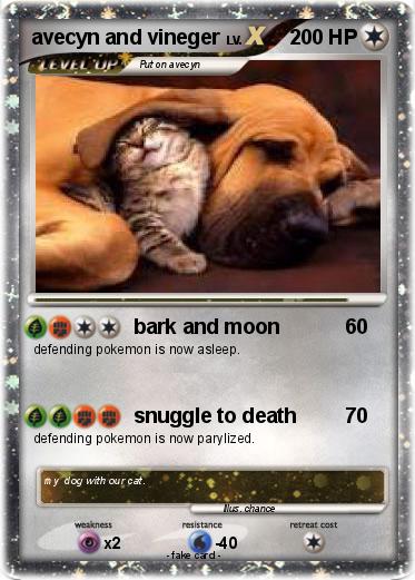 Pokemon avecyn and vineger