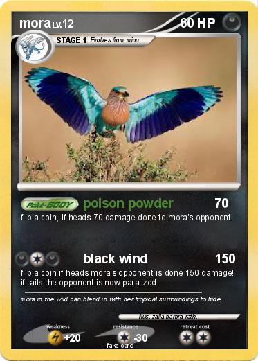 Pokemon mora