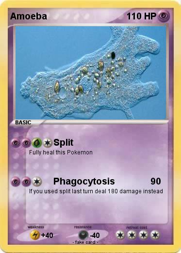 Pokemon Amoeba